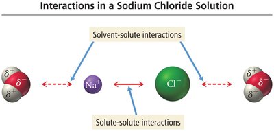 Solute-solvent interactions in NaCl solution