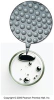 Liquid mercury with metallic properties