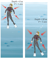 Scuba diver at different depths