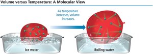 Volume versus temperature: molecular view