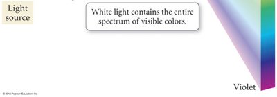 White light spectrum