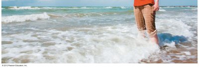Person standing in water, illustrating color reflection