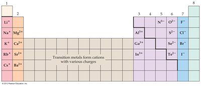 Relative atomic sizes of main-group elements