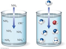 Diagram showing NH3 partially ionized in solution