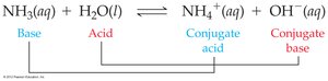 Equation showing conjugate acid-base pairs in NH3 and H2O reaction