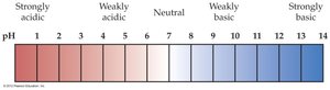 pH scale from 0 to 14, showing acidic, neutral, and basic regions