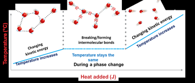 Heating curve showing temperature vs. heat added and phase changes
