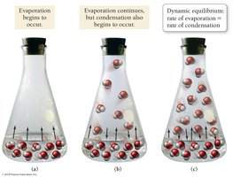 Evaporation and condensation in a closed container
