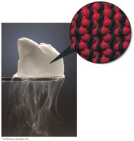 Dry ice sublimation