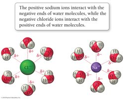 Ion-dipole forces between Na+, Cl-, and water