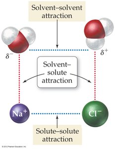 Diagram of solute-solvent and solute-solute interactions