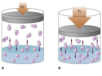 Diagram showing effect of pressure on gas solubility in liquid