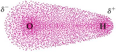 Dipole moment in H2O molecule