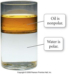 Oil and water showing polarity and solubility