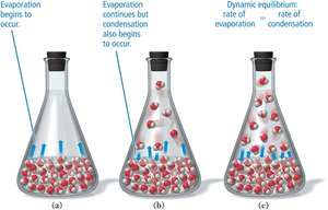 Evaporation and condensation in a closed system