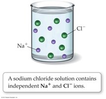 NaCl(aq) contains Na+ and Cl- ions