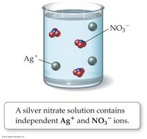 AgNO3(aq) contains Ag+ and NO3- ions