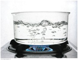 Boiling water: physical change, not a chemical reaction