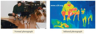 Infrared photograph comparison