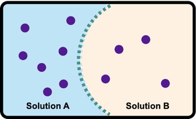 Solvent flow in osmosis