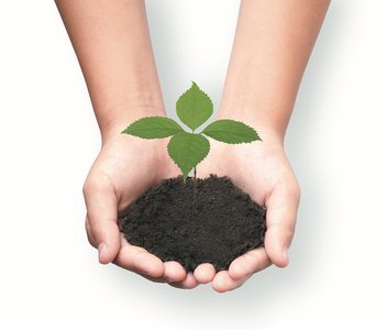 Green chemistry: plant growing in hands