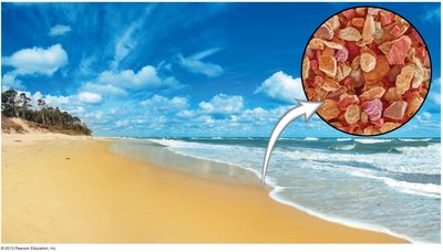 Sand on a beach representing indivisible particles