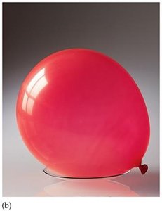 Balloon expanding when warmed