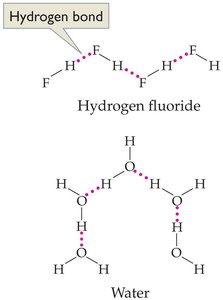Hydrogen bonding in hydrogen fluoride and water