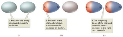 Formation of temporary dipoles leading to dispersion forces