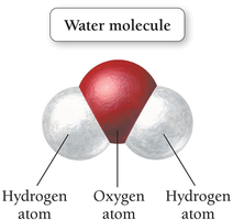 Structure of a water molecule