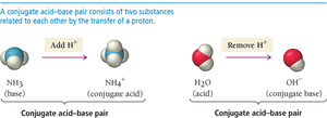 Conjugate acid-base pairs