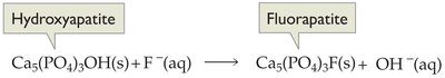 Chemical reaction showing hydroxyapatite to fluorapatite conversion