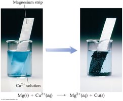 Mg strip in Cu2+ solution