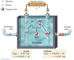 Hydrogen–oxygen fuel cell diagram
