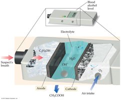Diagram of fuel-cell breathalyzer