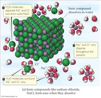 Dissociation of Ionic Compounds in Water