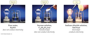 Electrolyte and Nonelectrolyte Conductivity