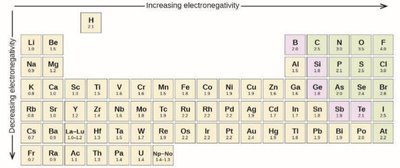 Periodic table showing electronegativity trends