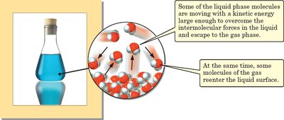 Evaporation and condensation equilibrium