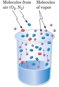 Evaporation in an open container