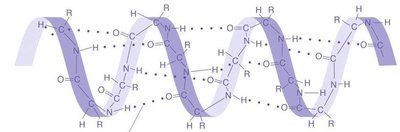 Alpha helix structure