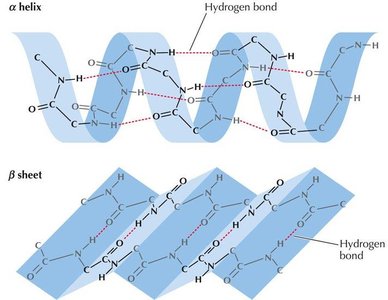 Tertiary structure example