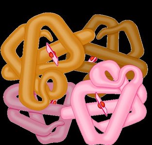 Quaternary structure example (hemoglobin)