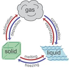 Diagram of endothermic and exothermic phase changes