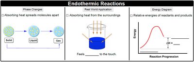 Endothermic Reactions