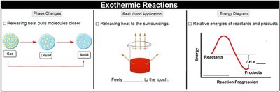Exothermic Reactions