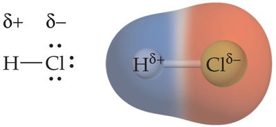 Polarity in HCl molecule