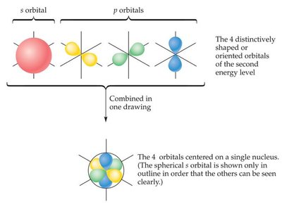 s and p orbitals diagram