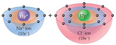 Sodium and chloride ions