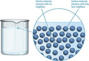 Diagram showing origin of surface tension at the molecular level